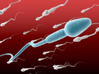 精夜发黄是什么原因,揭秘精液发黄背后的健康密码